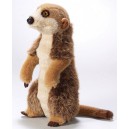 National Geographic peluche Suricate