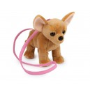 Chihuahua avec bandoulière 